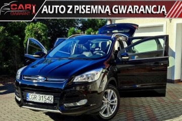 Filmik VIDEO park ASSIST Navi Bogata Opcja ZADBANY